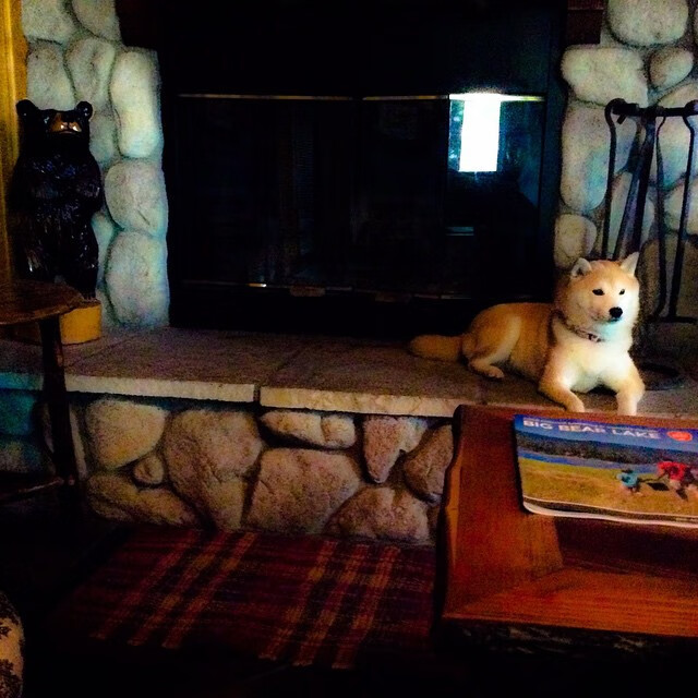 kaiyun电竞-中超豪门引援风暴持续升温，中超传统豪门